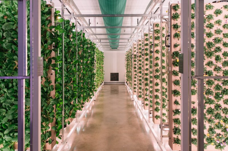 Innovation Agritech Group Limited