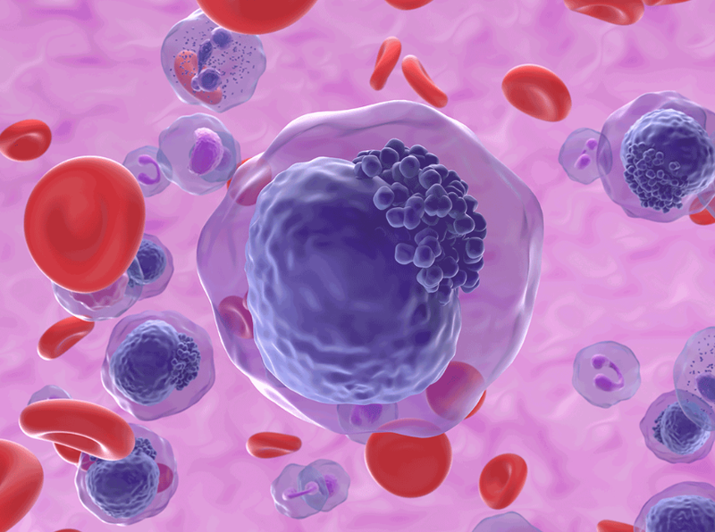 BiVictriX Therapeutics Limited